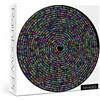 IdeaBazar PI □ Puzzle Giorno per Adulti 1000 Pezzi, Puzzle Rotondo Arcobaleno Puzzle Hard Impossibile per Numero
