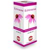 KOS Srl ECHINACEA SOL IAL PIANTA FR100