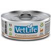Vet Life Farmina Farmina Vet-Life Feline Formula Convalescence Umido - 85 g, Singola
