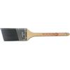 PROFORM TECHNOLOGIES Proform co2.5vs Contractor ovale manico Stiff pennello 2 - 1/5,1 cm, CS2.0AVS