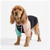 Spark Paws Felpa con Cappuccio per Cani - Maglione Premium per Cani di Piccola, Media e Grande Taglia | Abbigliamento Caldo per Bulldog Francesi, Pitbull, Cuccioli, Alternativa alla Giacca Invernale