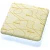 COLOPLAST SPA BIATAIN ALGINATE 10X10 10PZ
