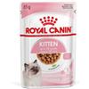 Royal Canin Kitten Gravy Cat Wet Food 85 gr - confezione da 12 pezzi - Cibo umido per gatti - 1° ORDINE? 20% di sconto SU BRAND ESCLUSIVI, codice BZR20