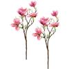 Flair Flower Ramo di magnolia artificiale di magnolia, bouquet di fiori artificiali, decorazione per la stanza, delicata decorazione primaverile, ramo singolo, boccioli, fiori di seta, fiori artificiali