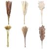 Wekuw Erba di Pampa Essiccata Erba di Pampa con Coda di Coniglio Bianca Fiori Secchi Fiori Artificiali Decorazione da Tavolo Boho, per Matrimoni, Camino, Casa, Cucina, Chiesa, Tavolo