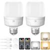 Qoolife Lampadina a batteria E27 con telecomando - Lampadina LED da 9 W con 2000 mAh, 4 timer e caricatore USB-C per campeggio, armadio e interruzione di corrente (2 pezzi)