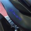labelbike - 2 Adesivi 3D Moto Scooter Scritta TMAX in Resina compatibile con Yamaha TMAX 560 2022-2024 - Colore Blu