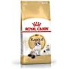 ROYAL CANIN GATTO ADULTO RAGDOLL 400 G