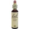 Bach Center Ess Gorse 20Ml 20 ml Gocce orali