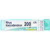 Rhus Toxicod BOI Rhus Toxicodendron*200Ch 80Gr 4 g Granuli
