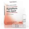 GUNA HYPOPHYSIS SUIS INJEEL HEEL
