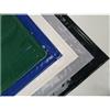 TENDEEVOLUTION Telo PVC Su Misura 650gr/mq con Orlo di Rinforzo - Impermeabile e Multifunzionale