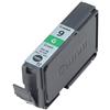 Canon cartuccia d'inchiostro verde pgi-9g