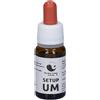 Meridian Flowers Remedy Setup Um 10 Ml Meridian Flowers Remedy ml Gocce orali