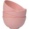 LIVELYPET Set di 4 ciotole infrangibili per cereali, in plastica, lavabili in lavastoviglie e microonde, facili da riutilizzare, per zuppa di spaghetti di riso, insalata, frutta (rosa)