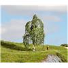NOCH® Betulla sospesa, albero modellistico, altezza 12 cm, per diverse scartamenti e scale
