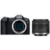 Canon Fotocamera mirrorless 24,2Mpx Full frame EOS R8 Kit Rf 24 50mm F4.5 6.3 Is