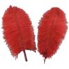 Sowder - Piume di struzzo di lunghezza 40-45 cm, confezione da 5 pezzi, ideali come decorazione per la casa o per matrimoni Red