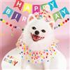 KASESSS 4 Pezzi Compleanno Cane Bandana da Festa, Set di Bandana per Cani di Compleanno Puntini Colorati, Ghirlanda Pompon con Striscione Happy Birthday, Regolabile Vestito di Comple per Cani