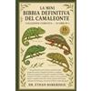 Majosta La Mini Bibbia Definitiva Del Camaleonte: Collezione Completa — 15 Libri In 1: Una guida pratica per allevare camaleonti velati, camaleonti pantera, ... Jackson, camaleonti di Parsons, camaleonti di