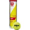 Wilson Tubo 4 palle wilson championship extra duty xd