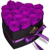 QHHENTOO 17 Rose Infinity, Regalo di Rose Viola Eterne per Donne, Rosa Conservata in Scatola a Forma di Cuore per Donne, Madre, per Compleanno, Anniversario, San Valentino, Festa della Mamma, Natale
