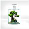 Aquael Shrimp Set SMART D&N 10 Bianco ECOM