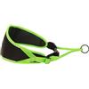 Inlandsis Cintura regolabile per cane, passeggiata a mani libere, escursionismo, canicross, mushing // Inlandsis Trekker // Ergonomico, tasca posteriore, alta visibilità