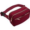 Long Keeper Marsupio Donna Elegante Leggera Marsupio Sportivo Viaggio per Donna Uomo Impermeabile Regolabile Borsa Cintura 3 Tasche con Cerniera