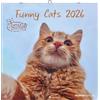 Alpha Edition - Funny Cats Calendario 2026 - Calendario da parete 30 x 30 cm - Divertente calendario per gli amanti dei gatti - 12 divertenti fotografie di gatti, molto spazio per appunti, con vacanze