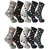 Palleon Dealzone - Calze - Donna multicolore