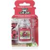 Yankee Candle Car Jar Ultimate Red Raspberry 1pz - Profumo per Automobile