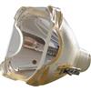 ASK 22000046, SP-LAMP-008 LAMPADA PHILIPS SENZA SUPPORTO (SOLO BULBO)