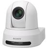 Sony SRG-X40UH Cupola Telecamera di sicurezza IP Interno 3840 x 2160 Pixel Soffitto/muro [SRG-X40UH/WC]