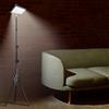 NONE Lampada da Terra LED con Timer, Altezza e Luminosità Regolabili, Luce da Terra per Lettura, Ufficio, Soggiorno e Camera da Letto