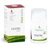 Aloe-beta Aloe Arborescens Cicatril Gel 50 ml - Ideale per Escoriazioni, Abrasioni, Screpolature - Rimedio Naturale - Coadiuvante per la Cicatrizzazione (Quantità 1 Unità)