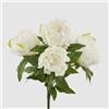 EDG Enzo De Gasperi Mazzo Peonie Artificiali 5 Fiori 48cm Bianco