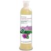 Sapone di un Tempo Bio Shampoo Capelli Grassi con Forfora