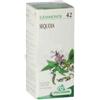 SPECCHIASOL Srl GEMMOSOL 42 SEQUOIA 50ML