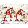 QENSPE 5D Diamond Painting Gnomi Natalizi, Kit per Diamond Art Adulti, Babbo Natale Pittura Diamante Painting Kits Completo per Bambini e Principianti, DIY Decorazione Casa Pareti 30x40cm