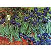 Wee Blue Coo Van Gogh Irises Unframed Wall Art Print Poster Home Decor Premium Parete Manifesto Casa