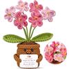 YUPDFGB Non-ti-scordar-di-me Lavorato a Maglia, Portafortuna Anti-Stress in Rosa, Decorazione Artigianale con Vaso, 10x10x15 cm, Regalo per Amici e Colleghi
