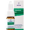 Weleda CALENDULA D4 COLLIRIO 10 ML