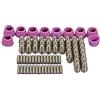 RIVERWELD SG-55 AG-60 WSD-60 Ugello punta dell'elettrodo al plasma 1,9 mm 40 A adatto per CUT-60 LGK-60 Taglierina al plasma 80 pezzi