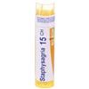 Boiron Staphysagria 15 Ch 80 Granuli 4 g Multidose