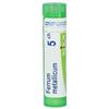 Boiron Ferrum Metallicum 5 Ch 80 Granuli 4 g