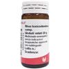 Wala Rhus Toxicodendron Comp Globuli 20 g