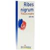 Boiron Ribes Nigrum Tm 60 Ml