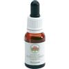 Green Remedies Waratah Bush Flower 15 Ml