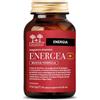 Salugea Energea+ Nf 60 Capsule Integratore Per Stanchezza Fisica e Mentale